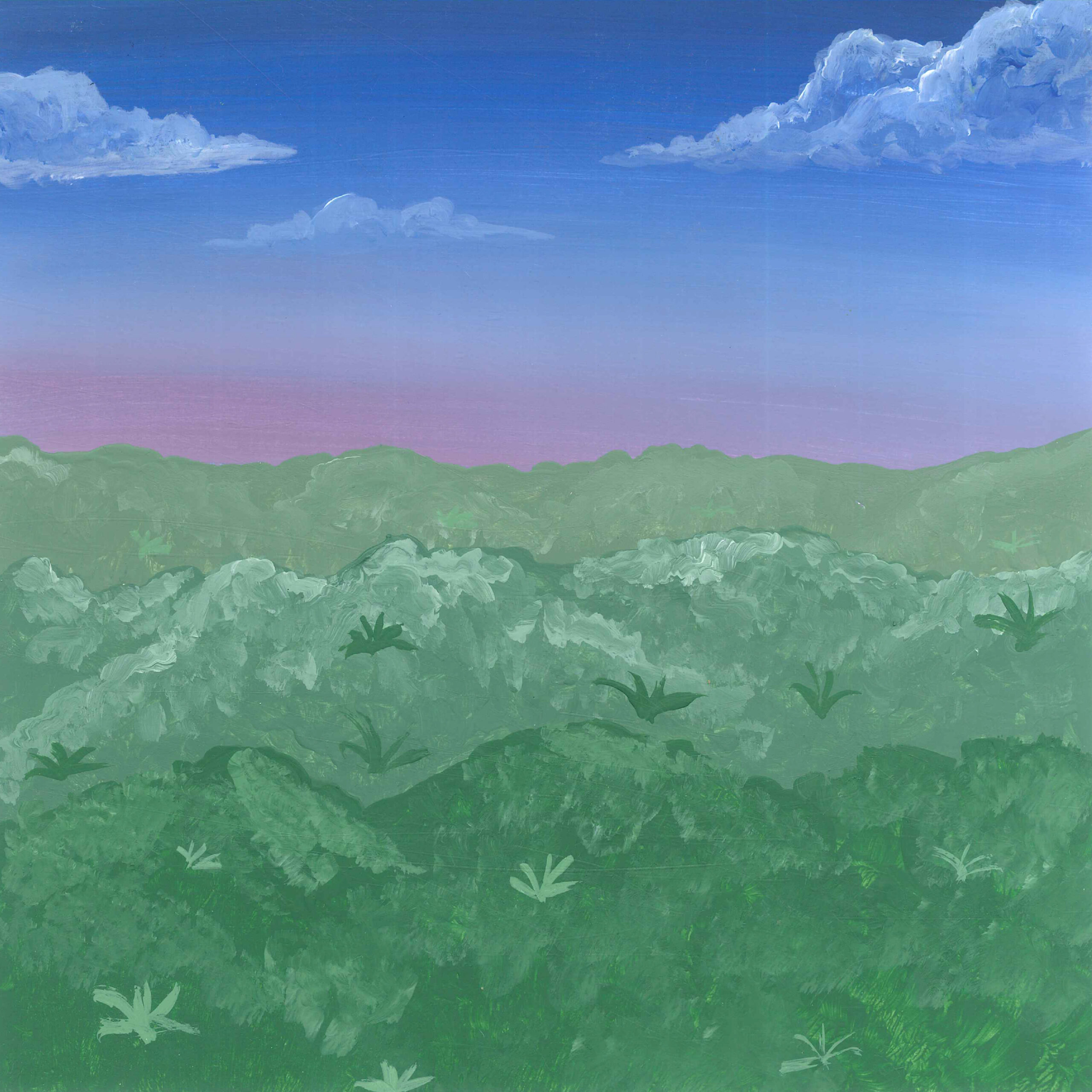 Lowland Rainforest Dawn in New Guinea