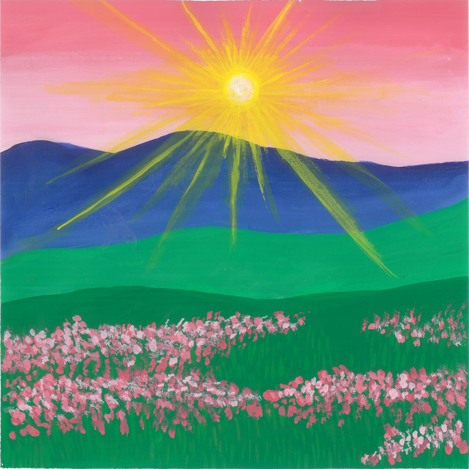 A Hot Summer Day in a Mountain Meadow