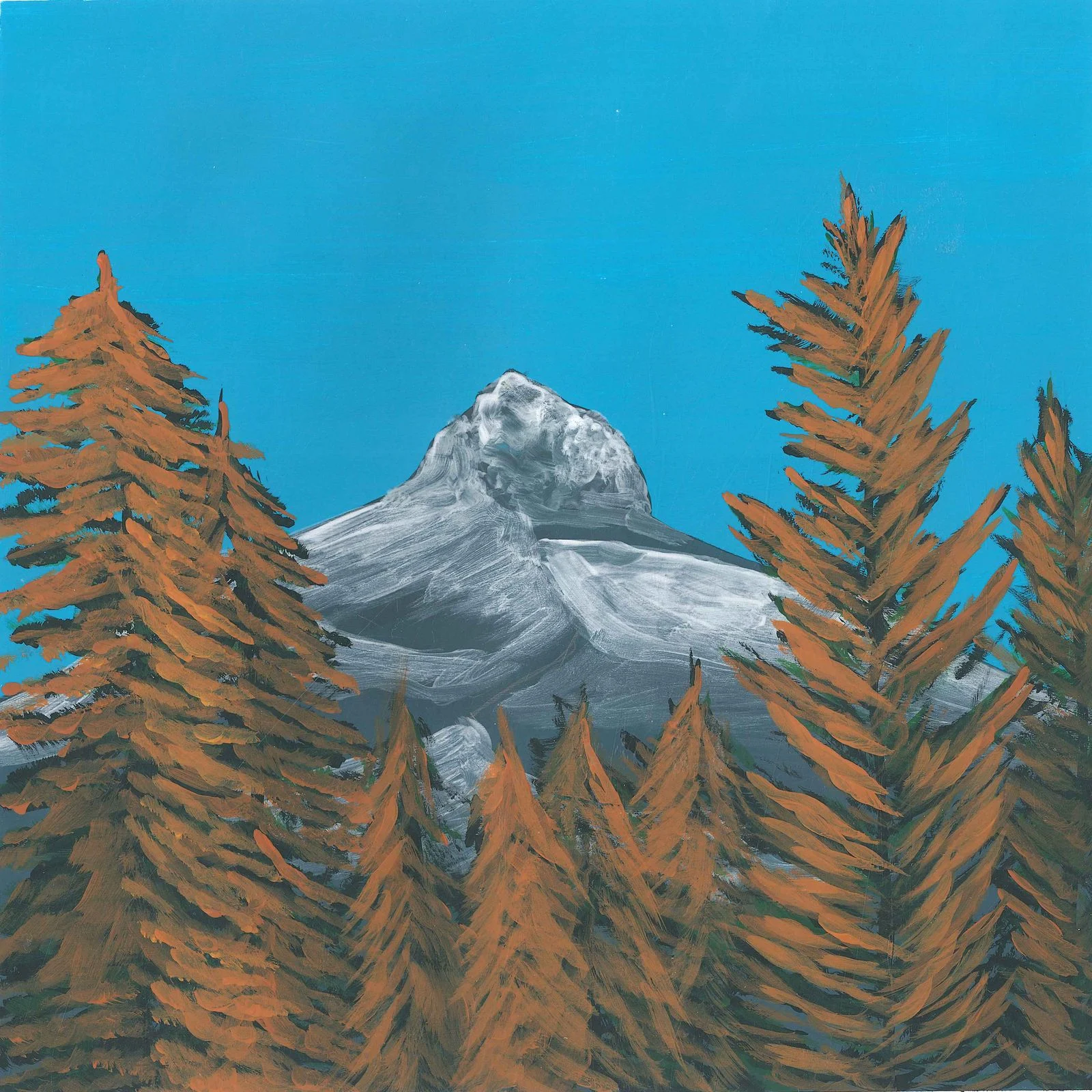 A portrait of the White Mountain National Forest