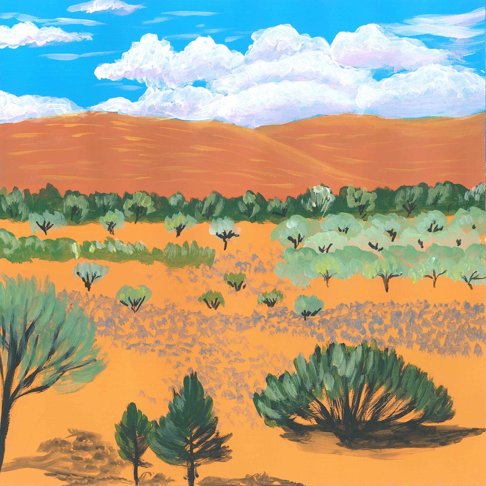 Vibrant Outback Dawn in Australia