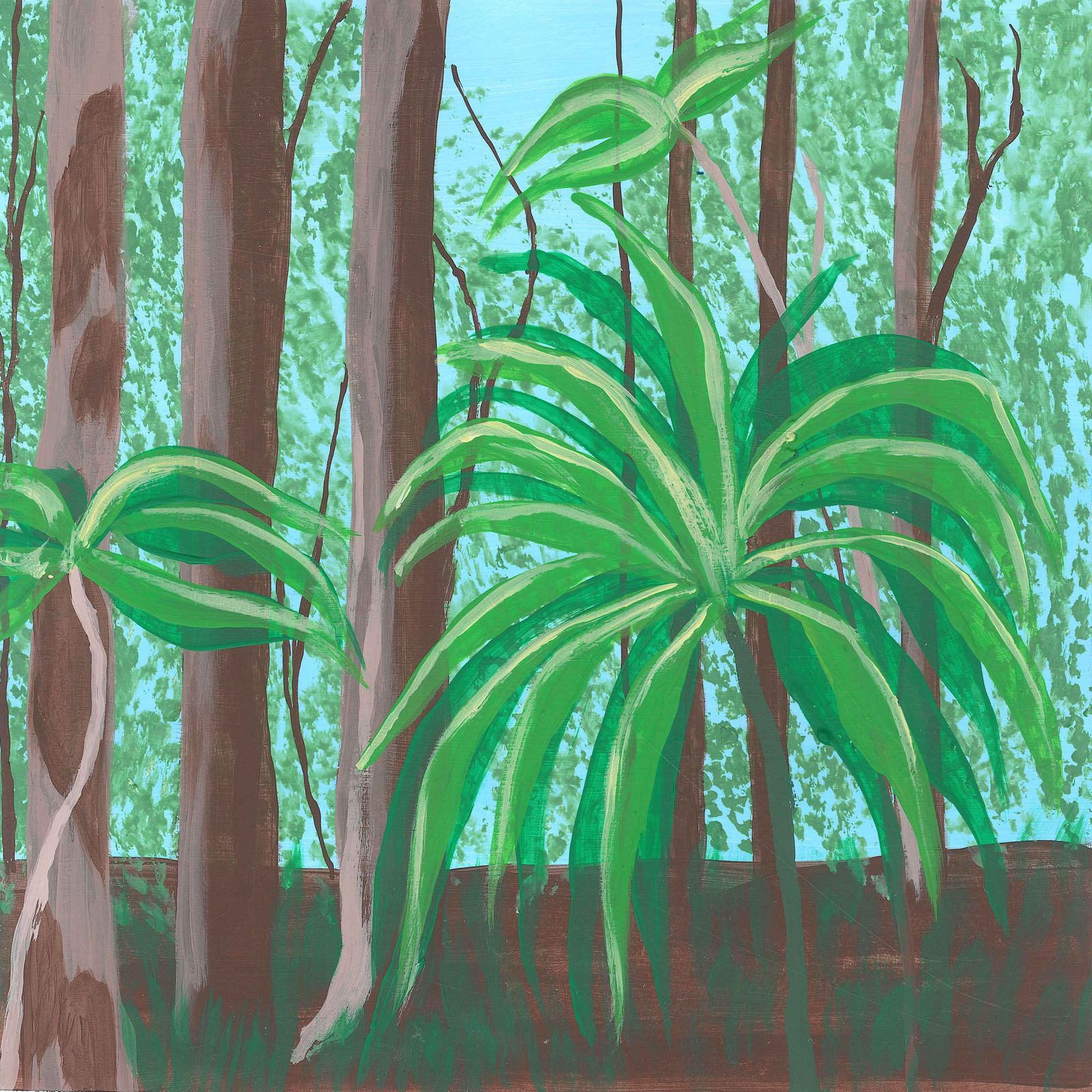 Mangroves at Low Tide