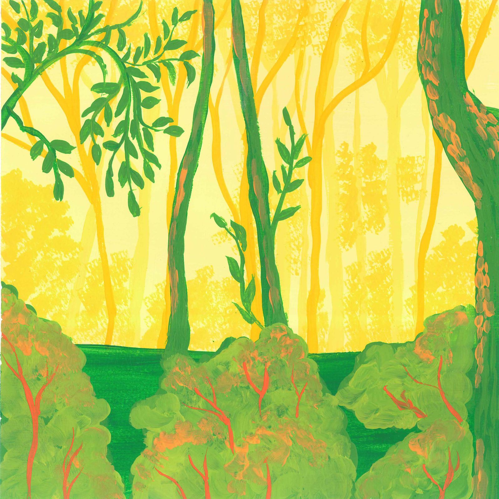 Winter Morning in the Atlantic Forest