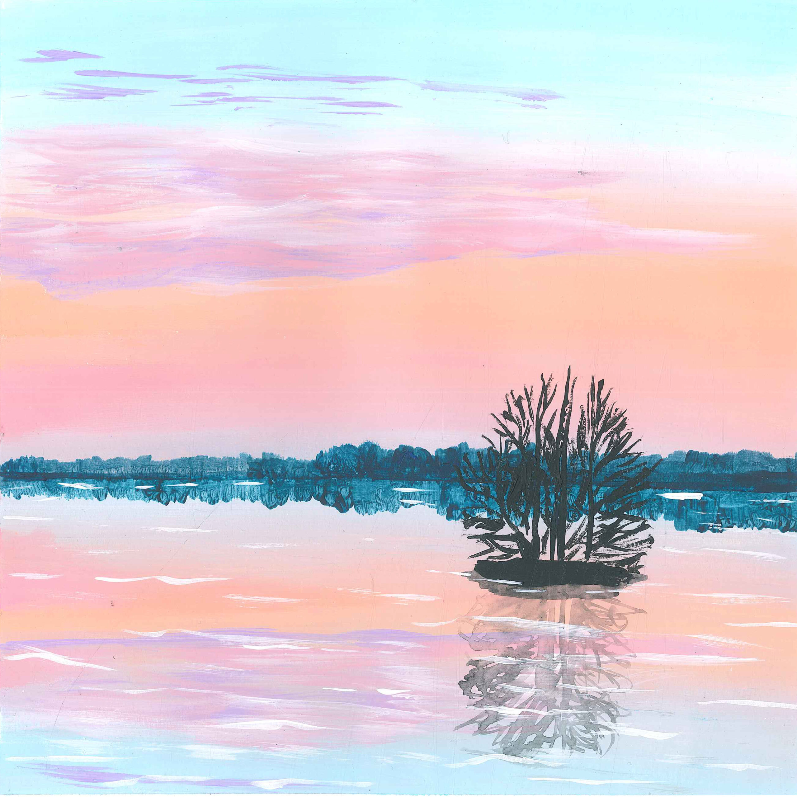 Lesser Kestrels Took Over an Abandoned Building