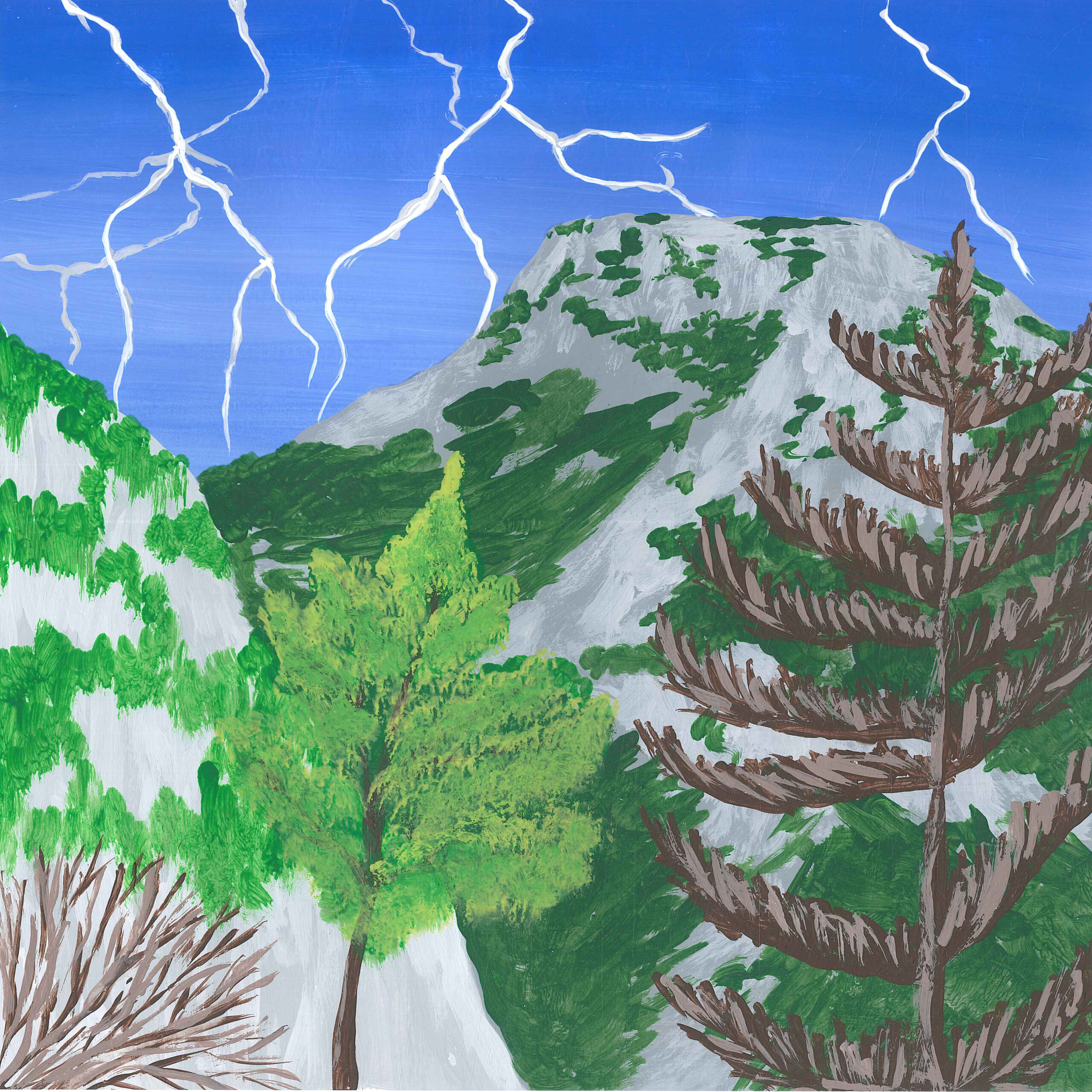 Rain Under the Canopy in a Summer Thunderstorm