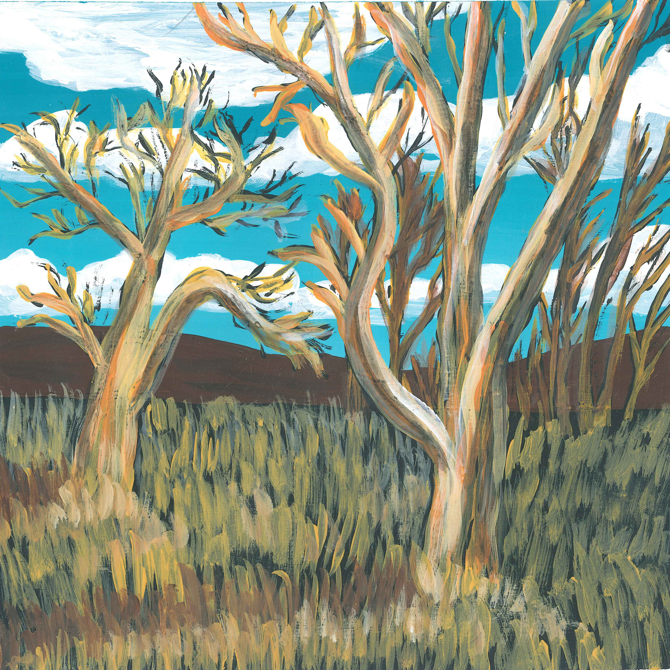 Dawn on an American Prairie